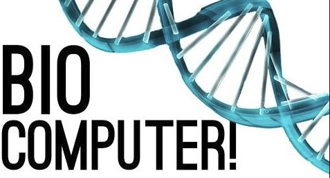 الحواسيب الحيوية 