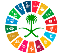  أهداف التنمية المستدامة والمسؤولية المجتمعية وتفعيلها على مستوى الكليات (مستوى1-2-3)
